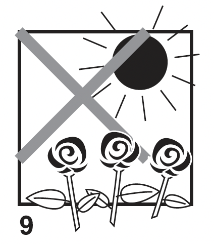 Verzorging tip 9 rozen